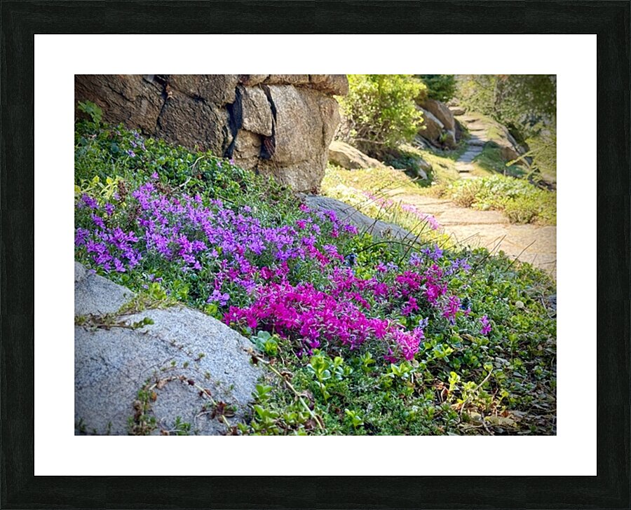 Spring flowers in Ohme Gardens Picture Frame print