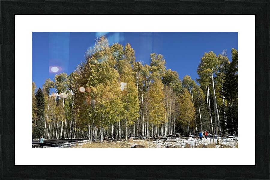 IMG 9898 Picture Frame print