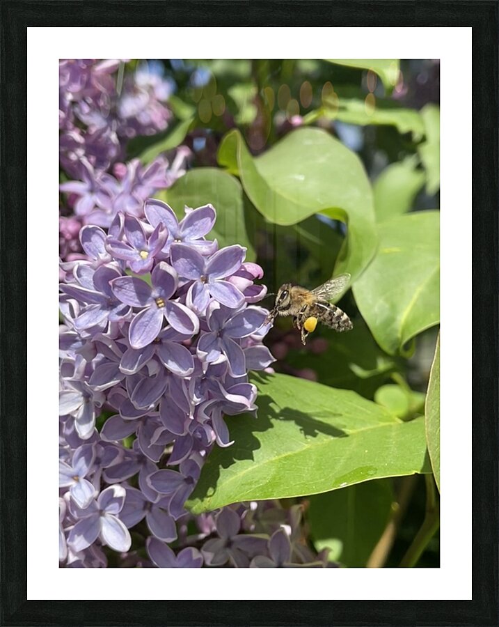 Saving the World Picture Frame print