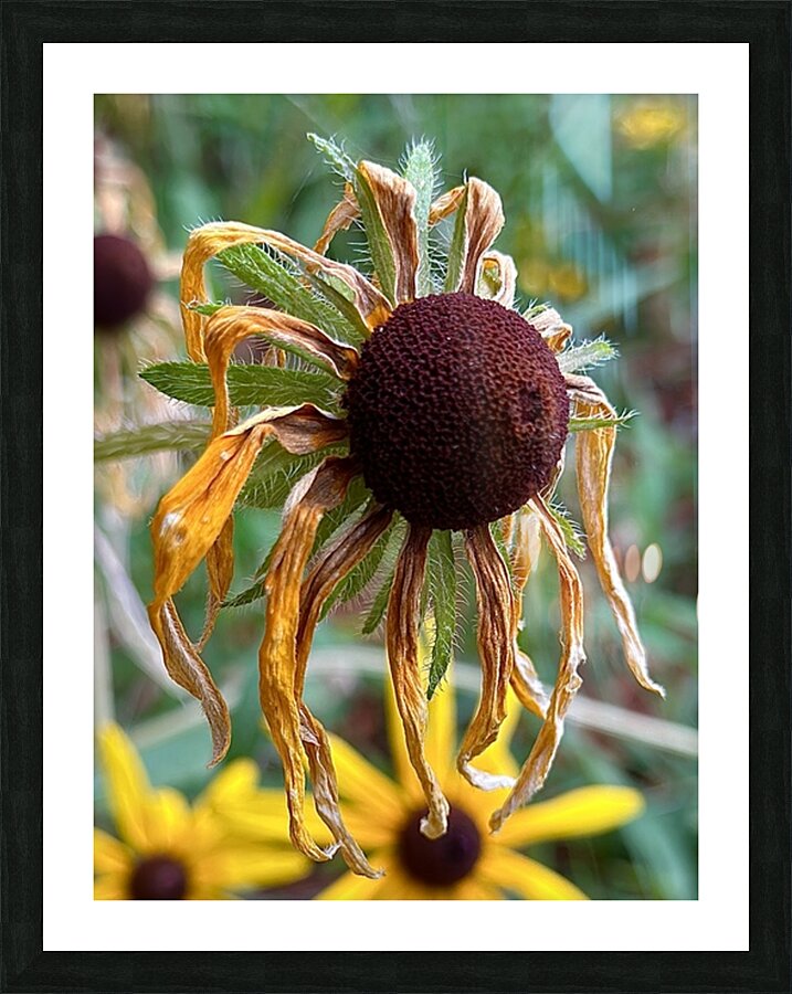 Time Served Picture Frame print