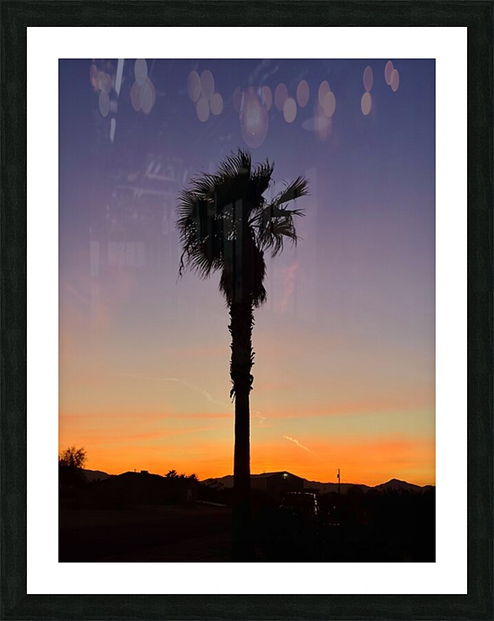 Afterglow Palm Picture Frame print
