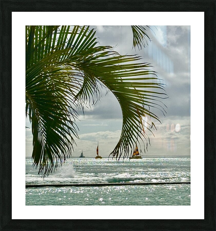 Oahu through the Palms Picture Frame print