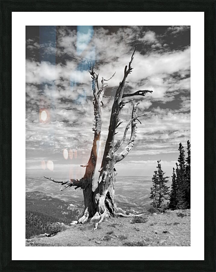 Wenatchee Overlook - black and white Picture Frame print