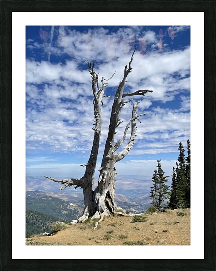 Wentachee Overlook - color Picture Frame print
