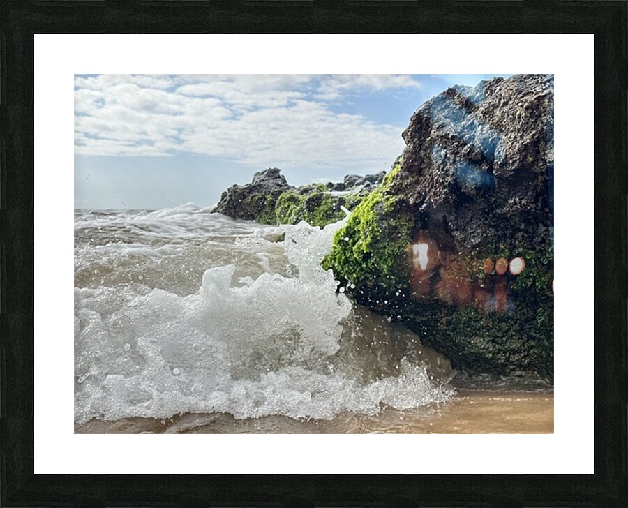 IMG 0842 Picture Frame print