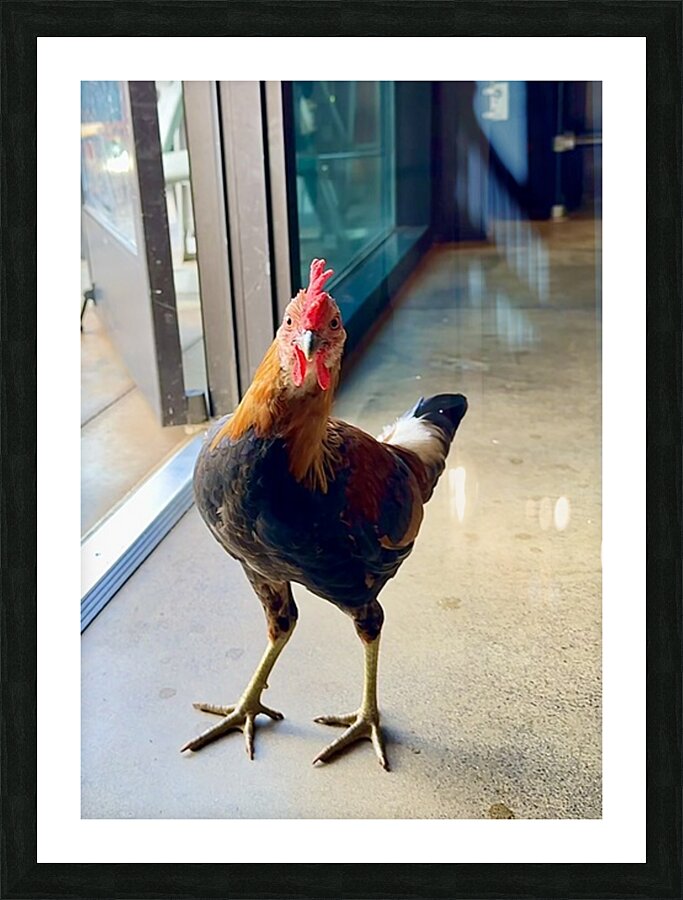 Hello can I help you  Picture Frame print