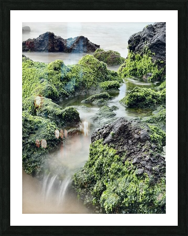 IMG 0839 Picture Frame print