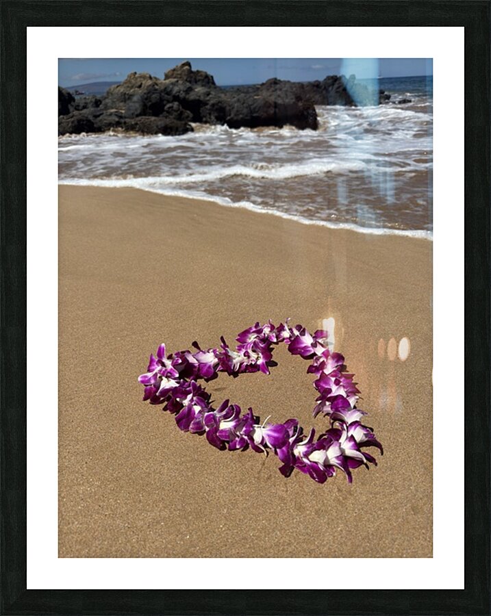 IMG 1727 Picture Frame print