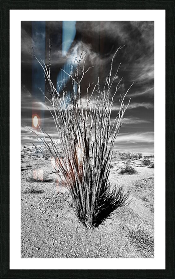 Desert Drama Picture Frame print