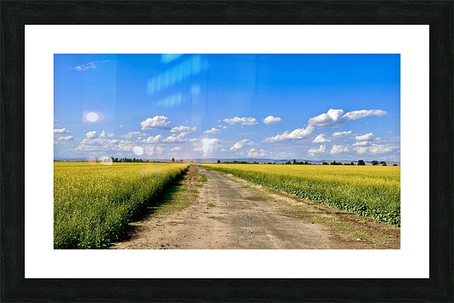 Country Road Picture Frame print
