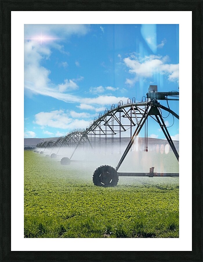 66B8AC6A 6571 4FAB 9070 E89EFFB74593 Picture Frame print