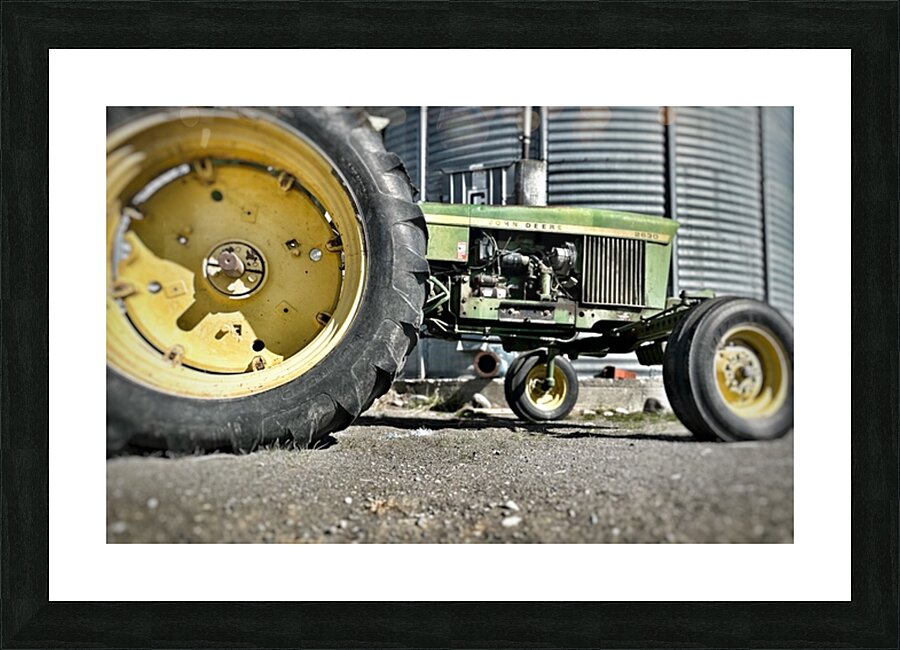 IMG 1442 Picture Frame print