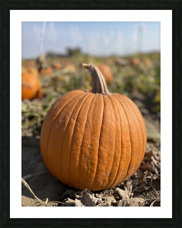 Fall Vibes Picture Frame print