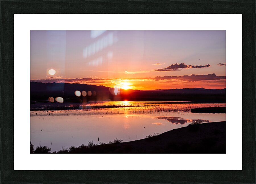 Havasu National Wildlife Refuge 7-18-25 Picture Frame print