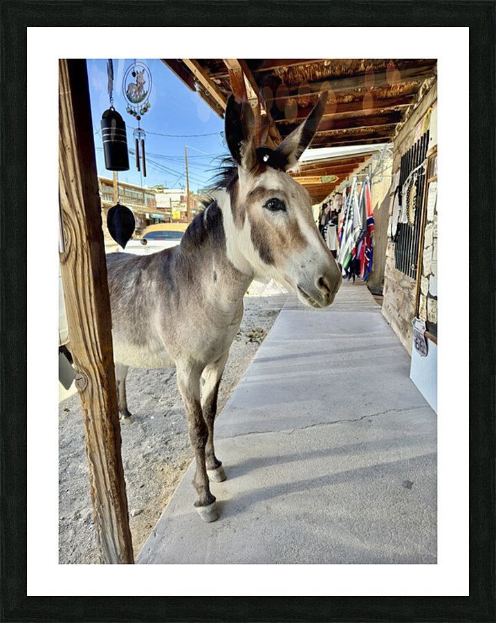 Miss Pickles Picture Frame print