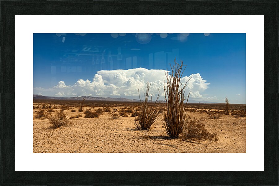 Monsoon Coming Picture Frame print