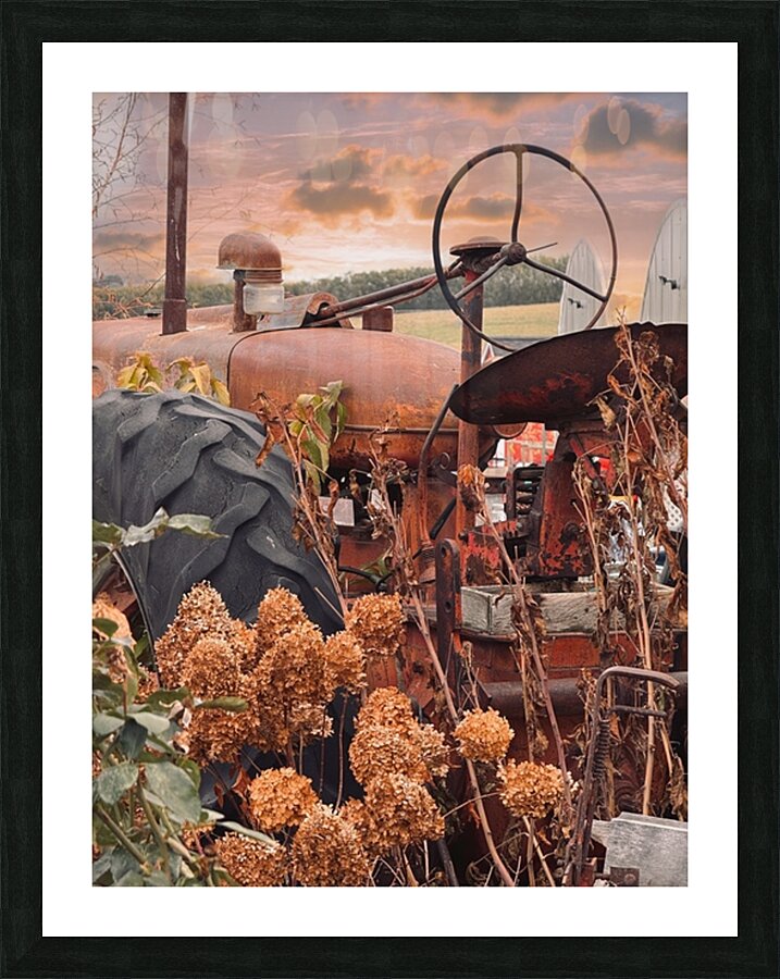 Something in the Orange. Vintage Farmall tractor Picture Frame print