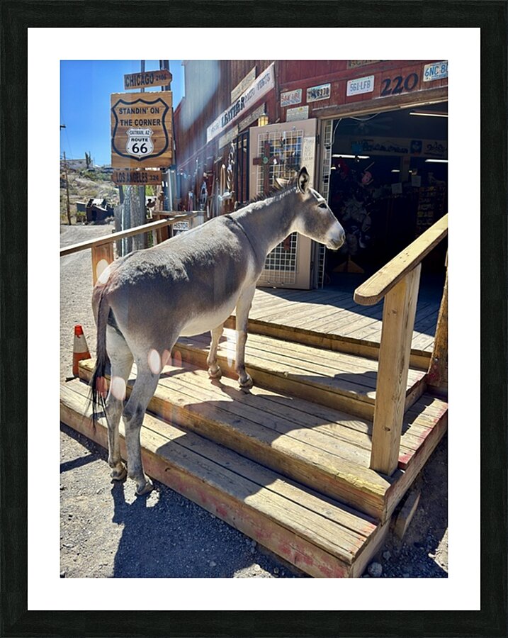 What’s on sale   Picture Frame print