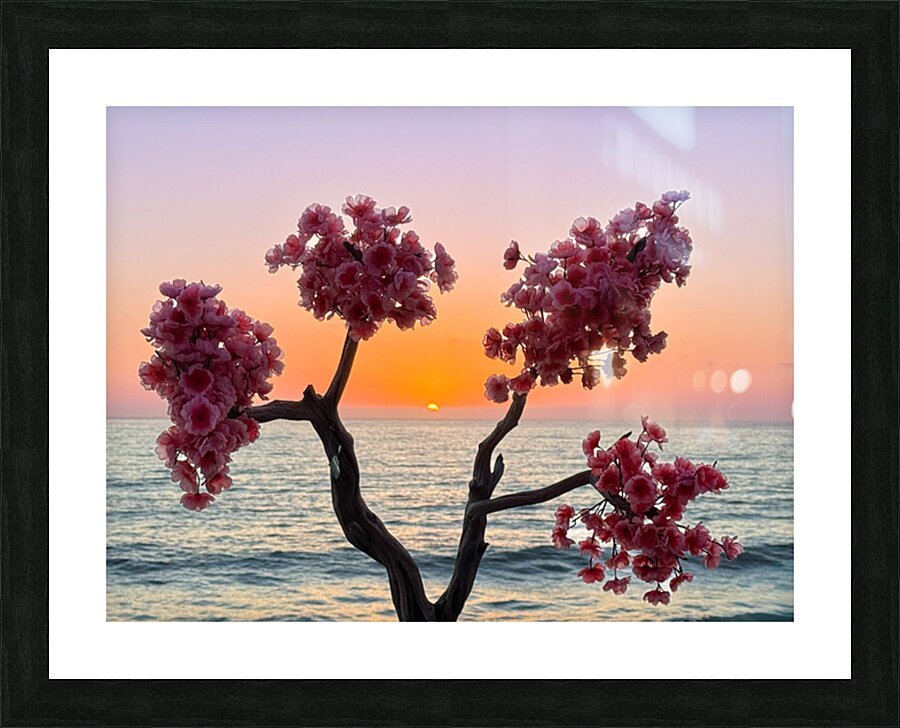 Rosarito Sunset - Rosarito Baja Mexico Picture Frame print