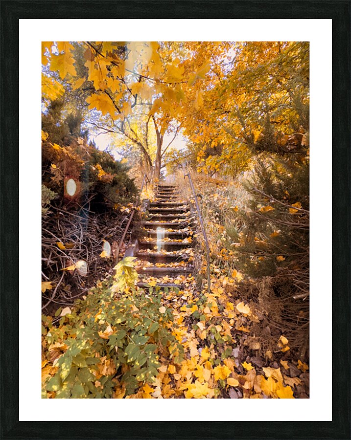 Autumn’s quiet retreat Picture Frame print