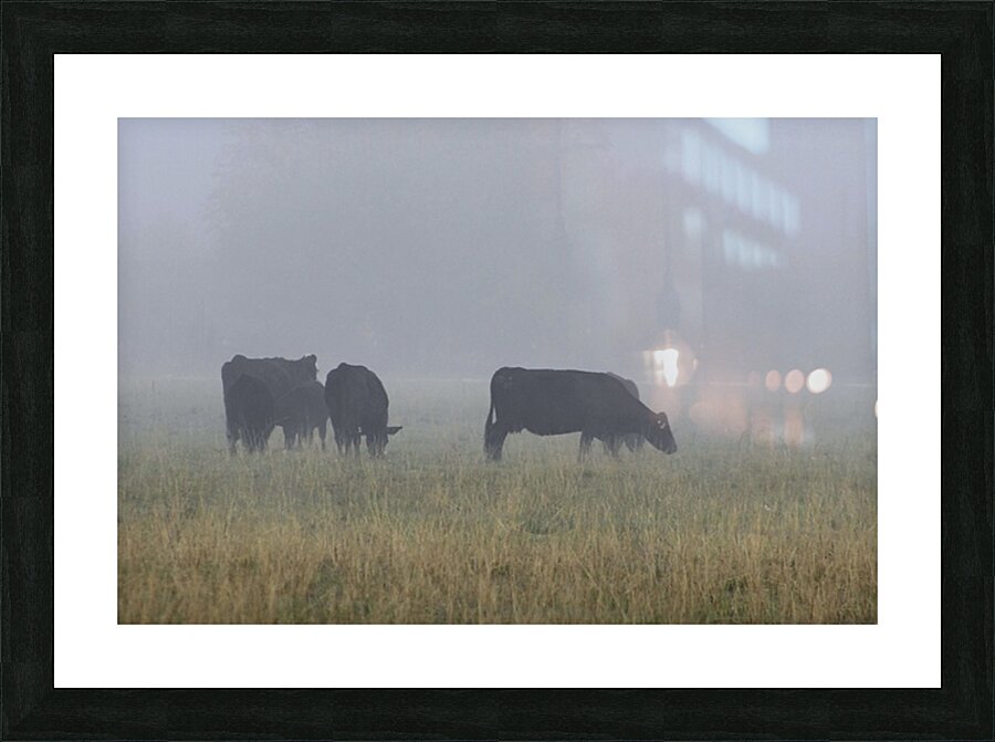 Misty Moood Picture Frame print