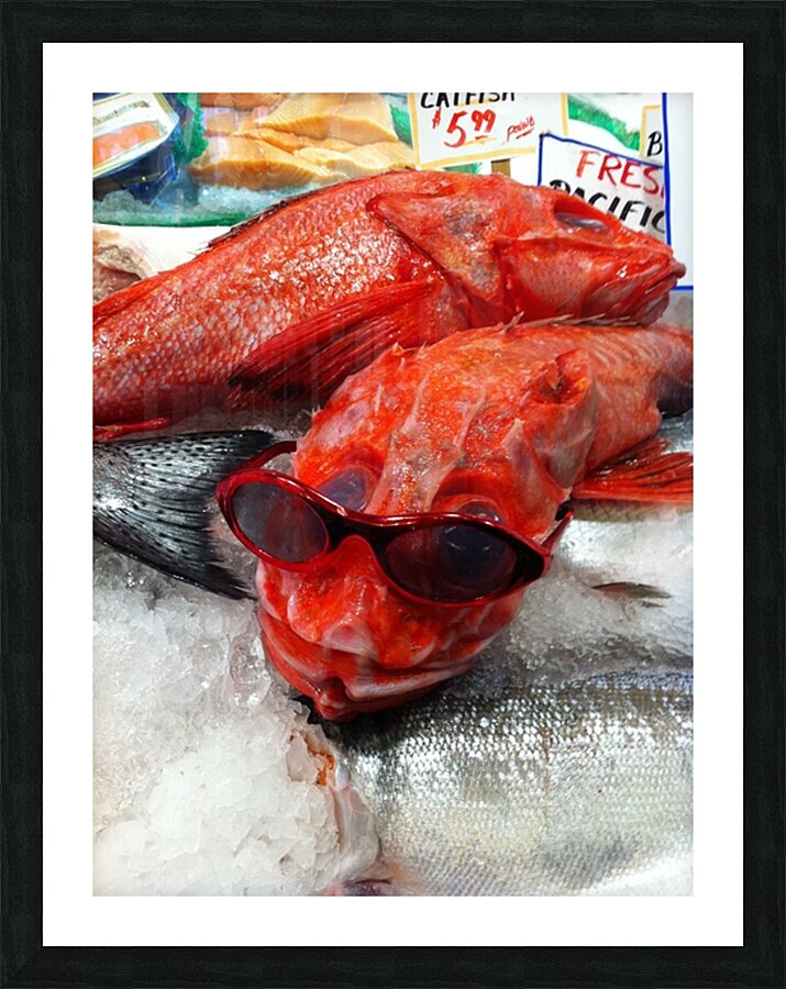 Something Fishy Picture Frame print