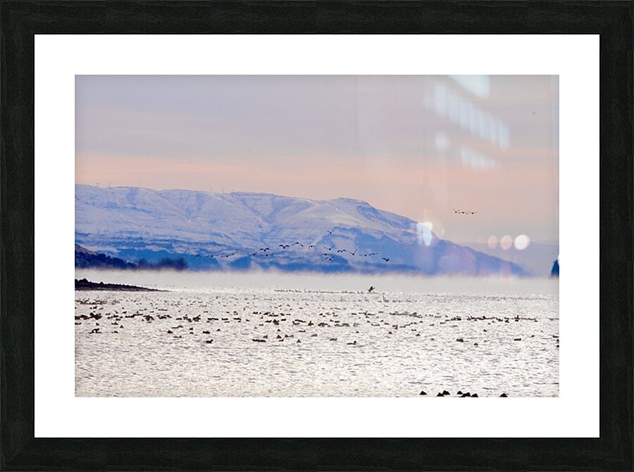 Beauty in the bitter cold - Columbia River 2 Picture Frame print