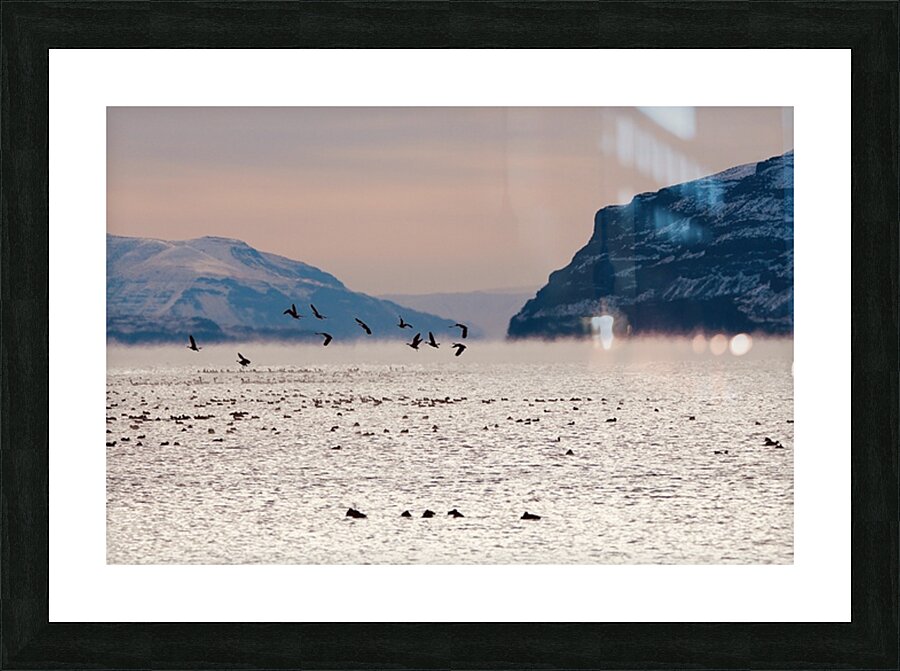 Beauty in the bitter cold - Columbia River 1 Picture Frame print