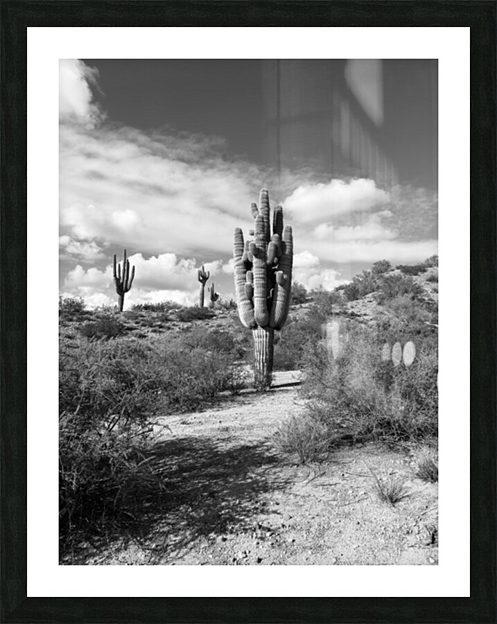 Fine Art Desert Picture Frame print