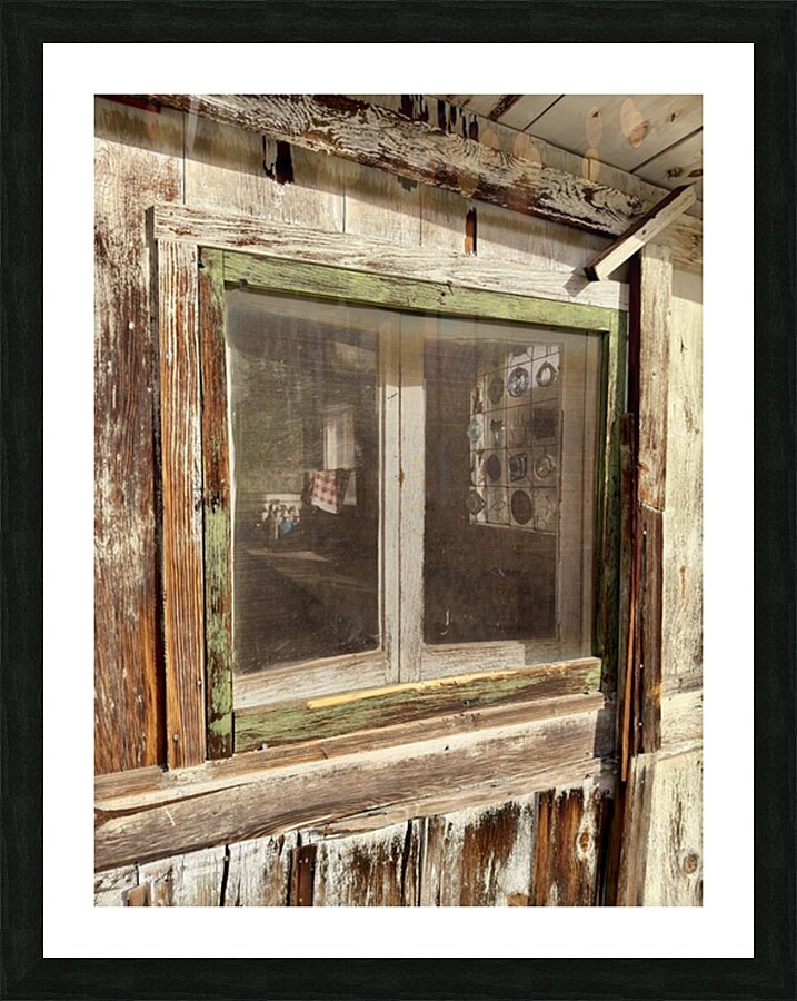 IMG 4050 Picture Frame print