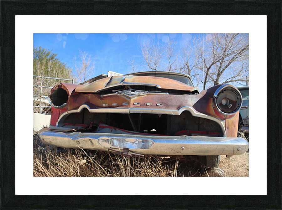 Desoto Picture Frame print