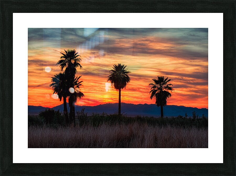 5 Mile Landing - Topock Marsh Picture Frame print