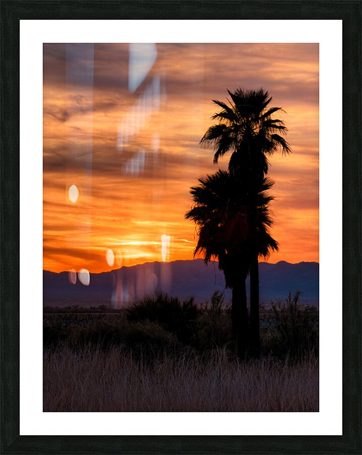 Topock Marsh Sunset Picture Frame print