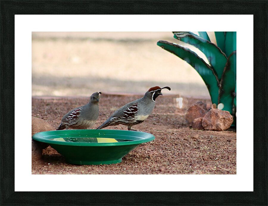 Ye Old Watering Hole Picture Frame print
