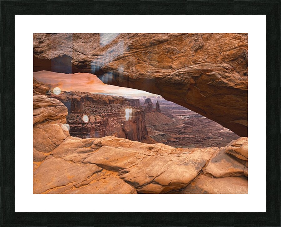 The Land Before Time Picture Frame print