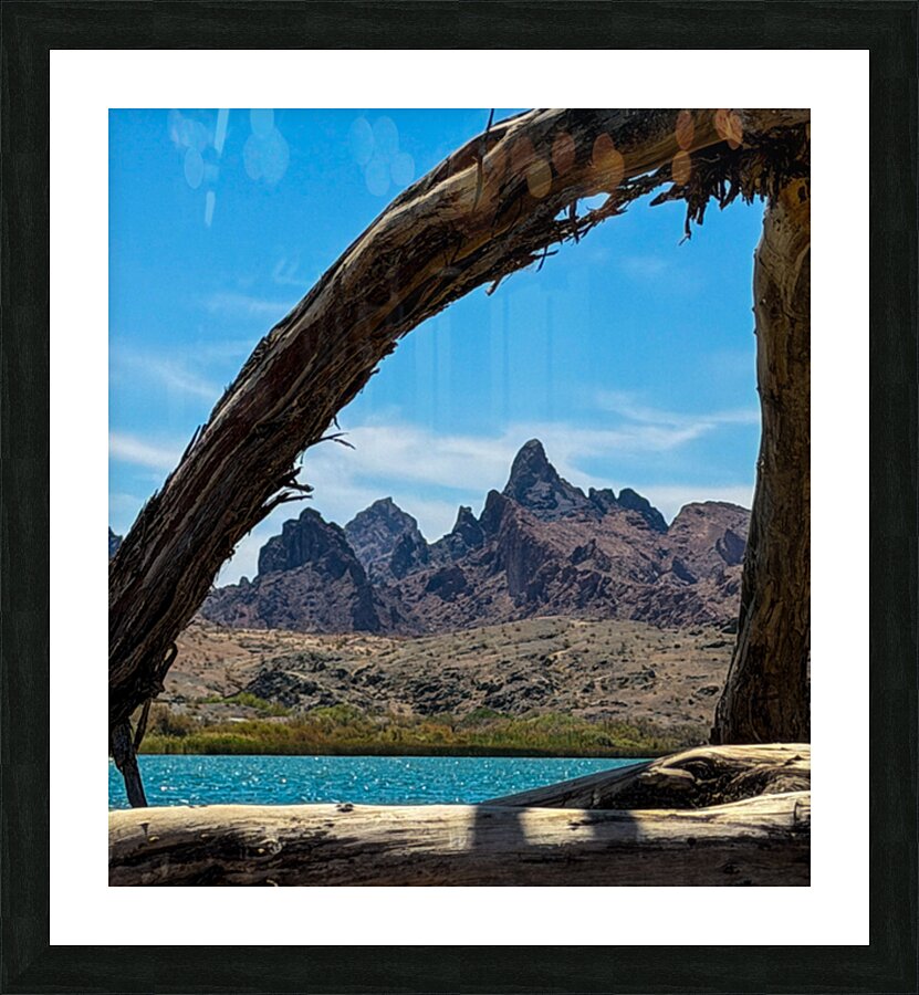 Nature’s Frame Picture Frame print