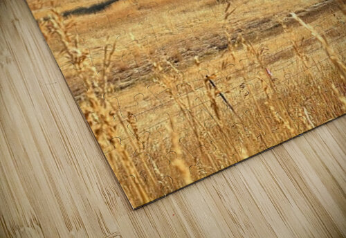 Dunford Barn 4 Leslie Affeldt Photography puzzle