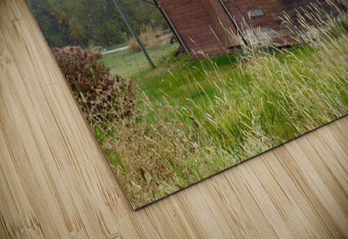 Barn in the mist 2 Leslie Affeldt Photography puzzle