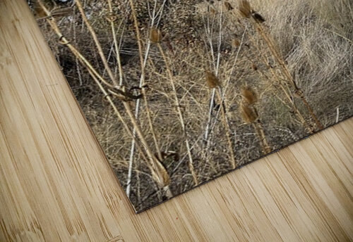 Colfax Barn 2 Leslie Affeldt Photography puzzle