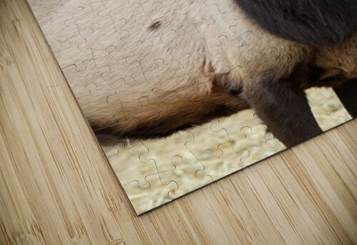 F3A5ABA5 DED2 4A0F 9CA3 F81AD213DC14 1 105 c Leslie Affeldt Photography puzzle