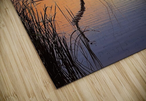 Catfish Paradise Leslie Affeldt Photography puzzle