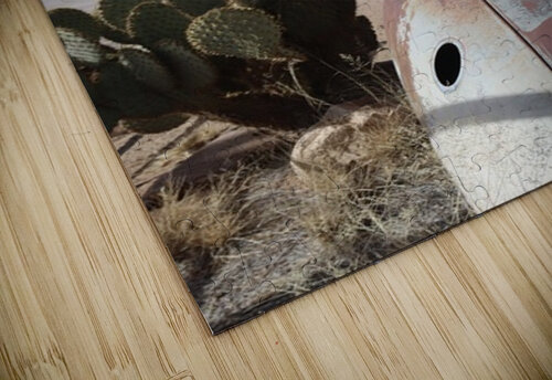 Old Cars and Cactus Leslie Affeldt Photography puzzle