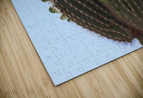 Saguaro blooms x 2 Leslie Affeldt Photography puzzle