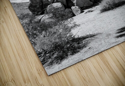 Joshua Tree Leslie Affeldt Photography puzzle