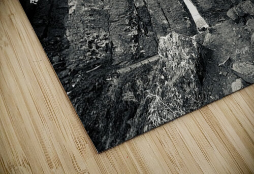 The Feathers Leslie Affeldt Photography puzzle