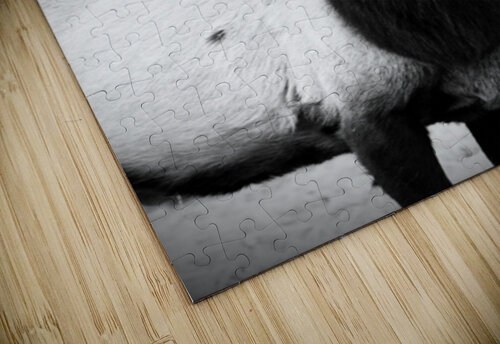 Elk Leslie Affeldt Photography puzzle