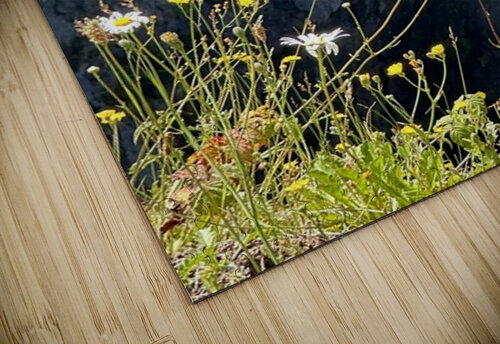 Snoqualmie falls through the Daiseys Leslie Affeldt Photography puzzle