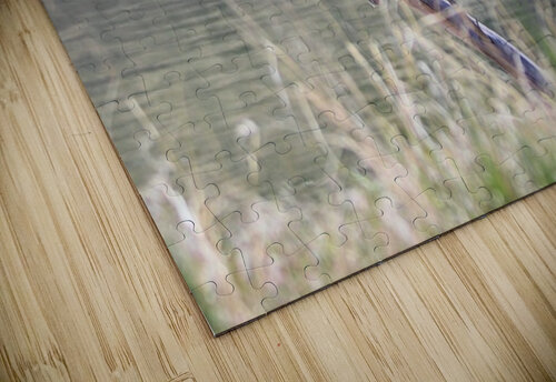 Bald Eagle on the Columbia Leslie Affeldt Photography puzzle