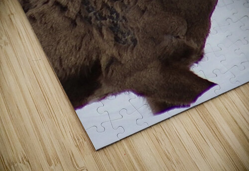 Big Horn Sheep Leslie Affeldt Photography puzzle