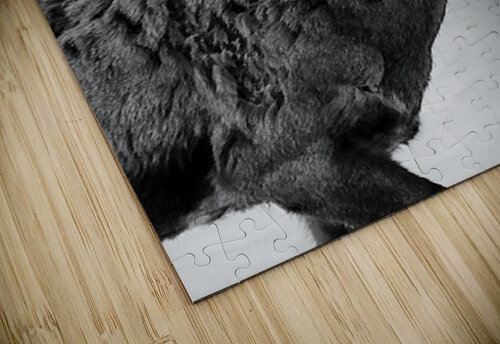 Big Horn Sheep B & W Leslie Affeldt Photography puzzle